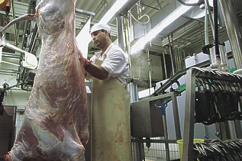 1293208261_1190872683289_meat7