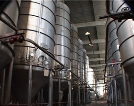 1293208116_vitmark_factory_in1